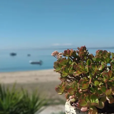 Thalassa House Σπίτι διακοπών Γερακινή